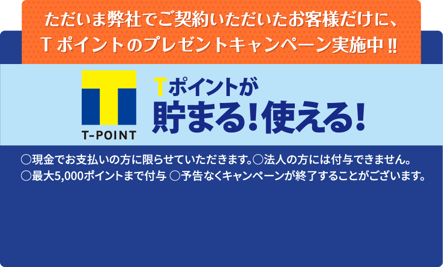 t-point