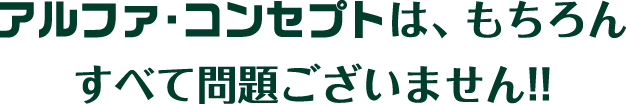 問題ございません